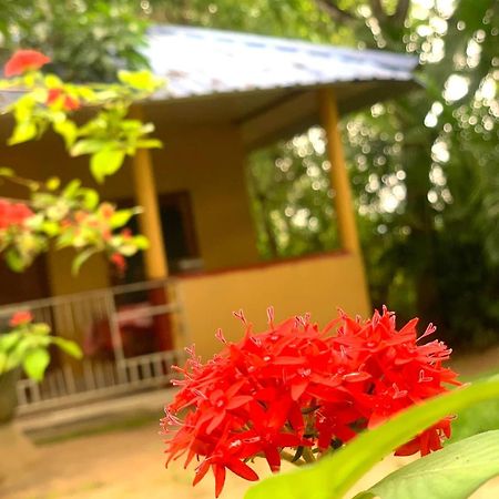 Yapahuwa Relax Stay المظهر الخارجي الصورة